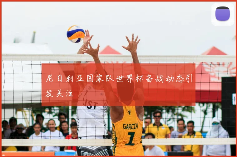 尼日利亚国家队世界杯备战动态引发关注