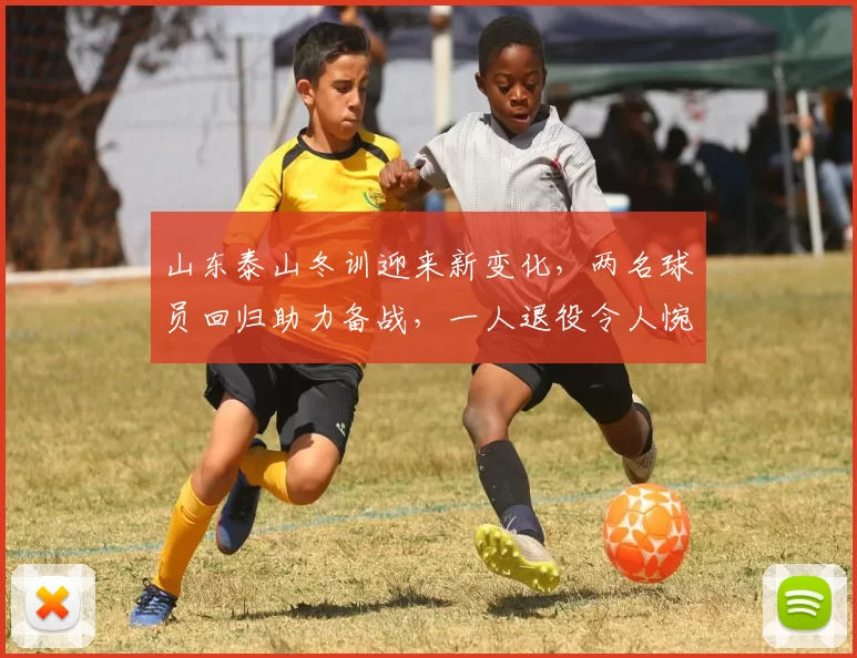 山东泰山冬训迎来新变化，两名球员回归助力备战，一人退役令人惋惜_赛季_杨瑞琦_刘愚