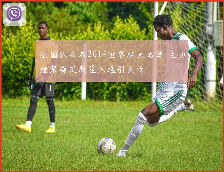 法国队公布2014世界杯大名单 主力框架确定新星入选引关注