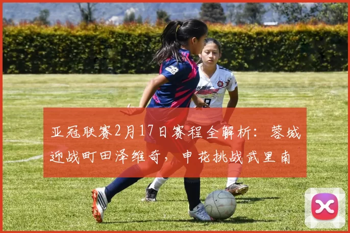 亚冠联赛2月17日赛程全解析:蓉城迎战町田泽维奇,申花挑战武里南联_比赛_新山_神户