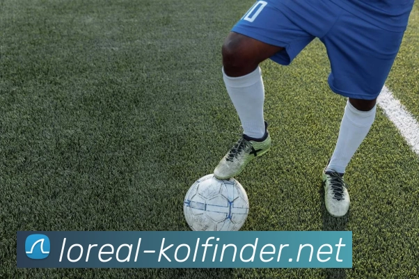 开云(中国)Kaiyun·官方网站 - 登录入口APP 封面图